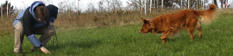 Foto-Balken