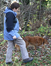 Hundeprobleme